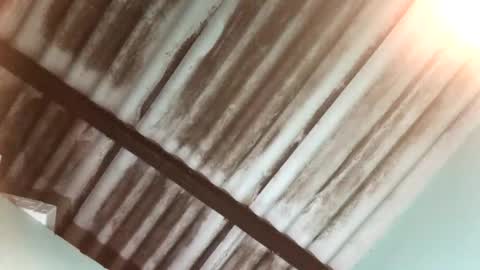 Maximo Aron Vega online show from January 2025 04:02:01 AM