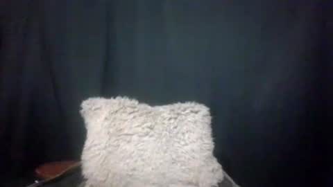 Snapshot of maximus_oreally chatting on January 2025 03:40:01 AM Max online show from January 2025 03:40:01 AM