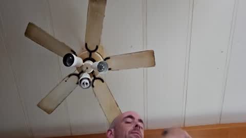 maxlme2721063 online show from June 2026 07:34:02 PM