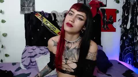 mayaredd online show from February 2026 06:09:02 AM