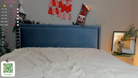 Snapshot of maydacarls chatting on January 2025 07:10:01 PM My name Casey online show from January 2025 07:10:01 PM