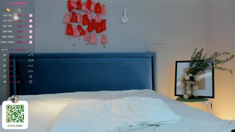 Snapshot of maydacarls chatting on January 2025 10:13:02 PM My name Casey online show from January 2025 10:13:02 PM