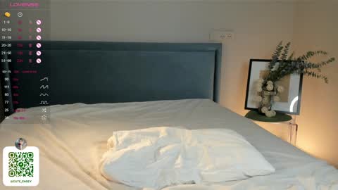 Snapshot of maydacarls chatting on February 2025 01:45:01 AM My name Casey online show from February 2025 01:45:01 AM