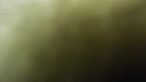 maylee_x online show from February 2025 12:01:02 PM