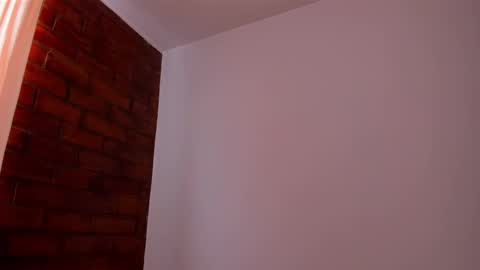 Snapshot of mayproject2 chatting on February 2025 02:16:01 PM may online show from February 2025 02:16:01 PM