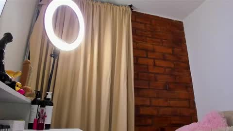 Snapshot of mayproject2 chatting on February 2025 10:28:01 AM may online show from February 2025 10:28:01 AM