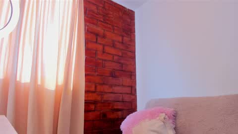 Snapshot of mayproject2 chatting on February 2025 01:29:01 PM may online show from February 2025 01:29:01 PM