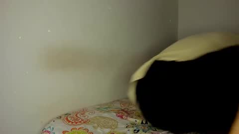 Snapshot of mcloviin_ chatting on February 2026 08:45:01 AM mcloviin_ online show from February 2026 08:45:01 AM