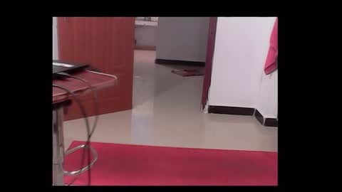 Snapshot of me_hai12 chatting on December 2024 03:39:01 PM me_hai12 online show from December 2024 03:39:01 PM