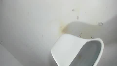 megan curtis online show from March 2026 05:12:02 AM