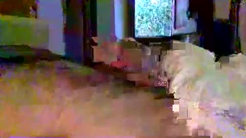 mecalientasmucho online show from May 2026 04:40:01 AM