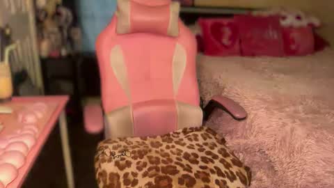 Snapshot of meetsouthernpeach chatting on April 2026 04:52:01 PM Southern Peach online show from April 2026 04:52:01 PM