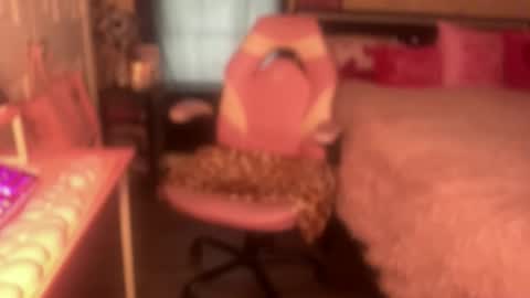 Snapshot of meetsouthernpeach chatting on May 2026 06:09:01 PM Southern Peach online show from May 2026 06:09:01 PM