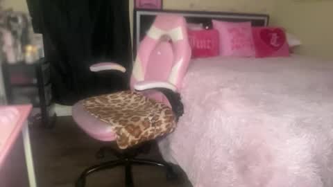Snapshot of meetsouthernpeach chatting on June 2026 03:09:02 AM Southern Peach online show from June 2026 03:09:02 AM