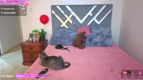 sofi online show from November 2025 02:06:01 PM