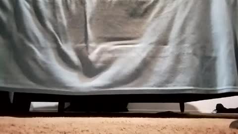 megacock420420 online show from December 2024 02:27:01 AM