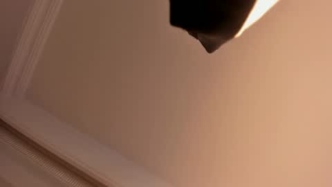     online show from February 2025 05:58:01 PM