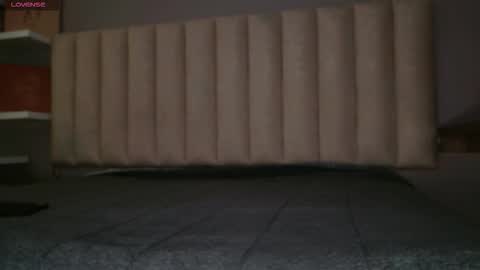     online show from January 2026 11:58:01 AM