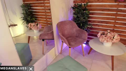 Snapshot of megan_raiin chatting on February 2025 09:10:01 AM megan_raiin online show from February 2025 09:10:01 AM