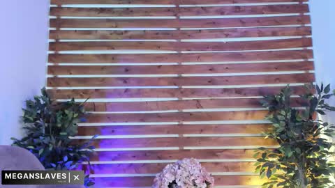 Snapshot of megan_raiin chatting on November 2025 08:41:01 AM megan_raiin online show from November 2025 08:41:01 AM