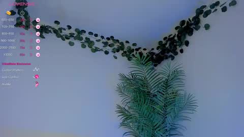 Snapshot of megancarlott_ chatting on March 2025 05:31:02 AM megancarlott_ online show from March 2025 05:31:02 AM