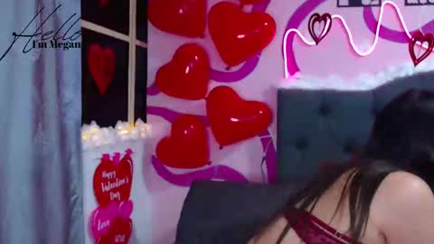 Im Megan Please do not demand a show without first tiping  Thank you online show from February 2025 12:46:01 AM