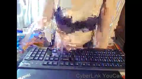 meimei_888 online show from January 2026 02:11:01 PM