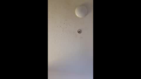 Snapshot of mel_hart_jr chatting on March 2026 07:47:02 AM mel_hart_jr online show from March 2026 07:47:02 AM