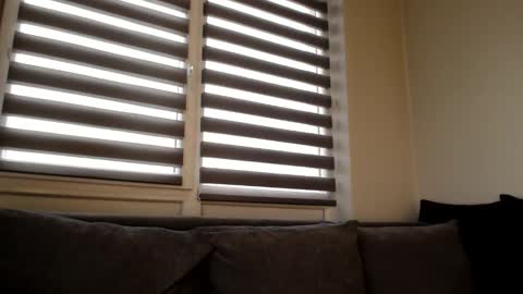 Melania online show from December 2024 12:38:01 PM