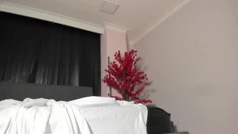 Snapshot of melani_greyy chatting on March 2025 12:15:01 AM melani greyy online show from March 2025 12:15:01 AM