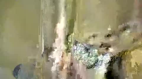 Snapshot of melanin_bae chatting on December 2025 06:38:01 PM Baby online show from December 2025 06:38:01 PM