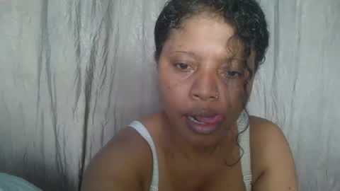 meld2599 online show from October 2025 11:33:02 AM