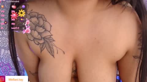 Mellani  online show from February 2025 09:30:01 AM