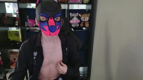 MellPUP online show from April 2026 04:26:01 PM