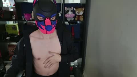 MellPUP online show from April 2026 05:21:02 PM