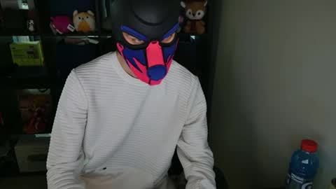 MellPUP online show from April 2026 01:14:01 AM