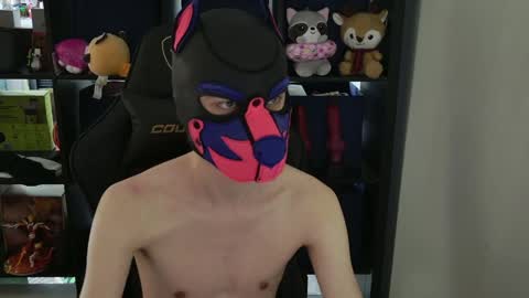 MellPUP online show from April 2026 09:31:02 PM