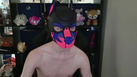 Snapshot of mellpup chatting on April 2026 06:36:02 PM MellPUP online show from April 2026 06:36:02 PM