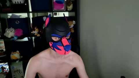 Snapshot of mellpup chatting on May 2026 03:41:01 PM MellPUP online show from May 2026 03:41:01 PM