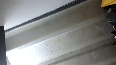 melodycharlotte online show from November 2025 12:18:02 PM