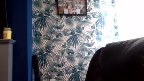 melony_bigd online show from November 2025 11:54:01 AM