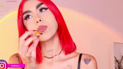 Melissa online show from January 2025 03:44:01 AM