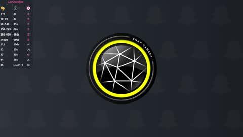 Snapshot of mendaciouss chatting on January 2025 03:51:01 PM Hello My name is Lily online show from January 2025 03:51:01 PM