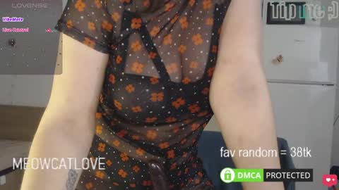 meowcatlove online show from March 2025 07:43:02 PM