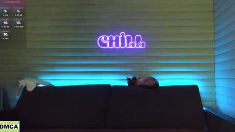 Snapshot of meowluv chatting on January 2025 05:08:02 AM  NIKKY  STIVE     Every day from 1000  to 200  EST time. online show from January 2025 05:08:02 AM
