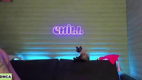 Snapshot of meowluv chatting on January 2025 03:31:02 PM  NIKKY  STIVE     Every day from 1000  to 200  EST time. online show from January 2025 03:31:02 PM