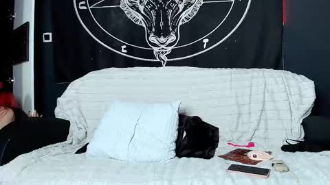 meowroslava online show from November 2025 10:32:02 AM