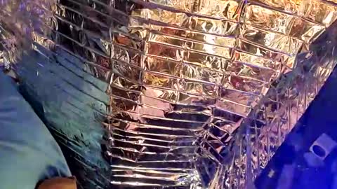 gurlnips online show from February 2025 02:07:01 AM