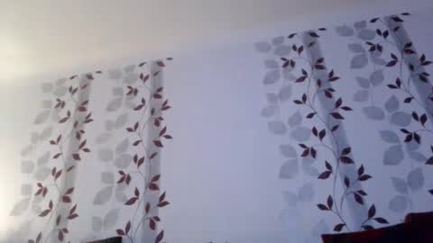 Snapshot of metallbuddy chatting on January 2025 09:40:01 PM ask me online show from January 2025 09:40:01 PM