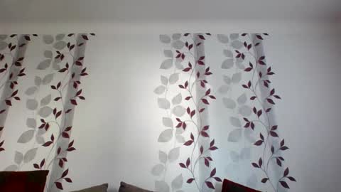 Snapshot of metallbuddy chatting on March 2025 02:00:01 PM ask me online show from March 2025 02:00:01 PM